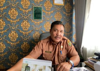 Maksimalkan 7.630 Hektare Sawah, Bengkulu Selatan Terapkan Pola Tanam Padi Tiga Kali