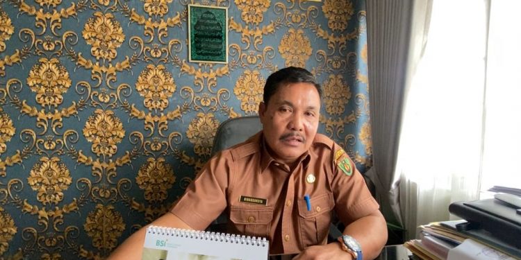 Maksimalkan 7.630 Hektare Sawah, Bengkulu Selatan Terapkan Pola Tanam Padi Tiga Kali