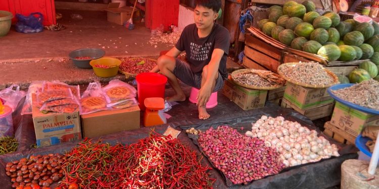 Harga Bawang dan Cabai di Bengkulu Selatan Makin Pedas Jelang Nataru, DKP Siapkan GPM