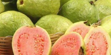 Manfaat Lain Konsumsi Buah Jambu Biji, Ampuh Menurunkan Tekanan Darah