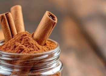 Cek Sekarang, Ini Minuman Sehat yang Bikin Tubuh Tetap Hangat