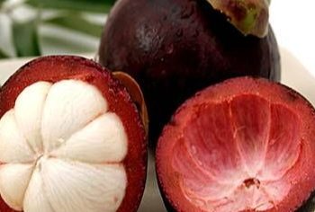 Bisa Mencegah Sembelit, Ini Manfaat Kulit Manggis bagi Kesehatan, Cek Sekarang