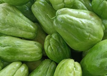 Labu Siam Dapat Menangkal Radikal Bebas, Cek Manfaat Lengkapnya di Sini