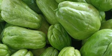 Labu Siam Dapat Menangkal Radikal Bebas, Cek Manfaat Lengkapnya di Sini