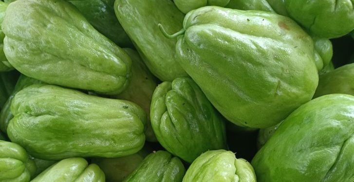 Labu Siam Dapat Menangkal Radikal Bebas, Cek Manfaat Lengkapnya di Sini