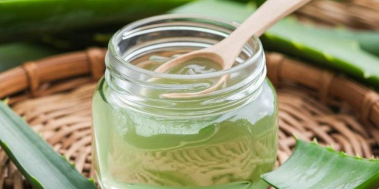 Punya Kerutan di Bawah Mata? Bahan Alami Ini Bisa Menghilangkannya