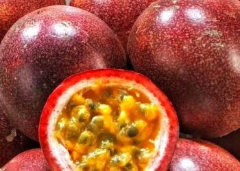 Konsumsi Markisa Dapat Mengurangi Insomnia Bumil, Manfaat Lainnya Bisa Diketahui di Sini!