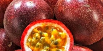 Konsumsi Markisa Dapat Mengurangi Insomnia Bumil, Manfaat Lainnya Bisa Diketahui di Sini!