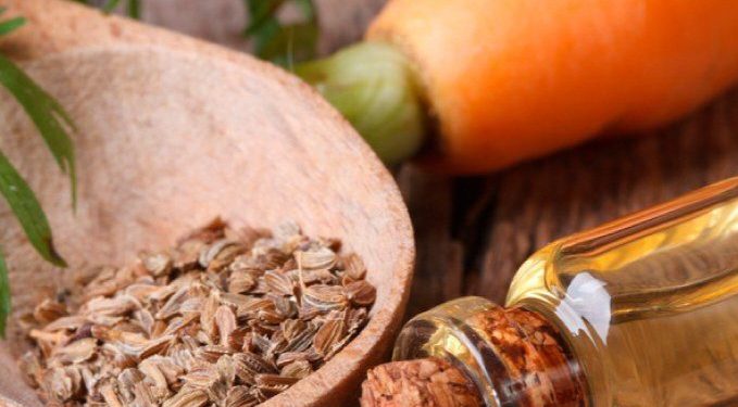 Khasiat Biji Minyak Wortel yang Perlu Diketahui, Salah Satunya Memperkuat Skin Barrier