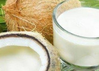 Santan Punya Manfaat Dapat Mengurangi Penyakit Lambung, Cek di Sini