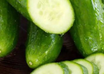 Efek Samping Makan Mentimun Berlebihan, Penting! Bisa Sebabkan Gangguan Pencernaan