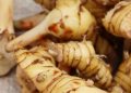 Cek di Sini! Kelompok yang Tidak Disarankan Makan Lengkuas, Perlu Hati-hati