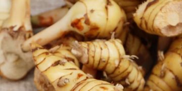 Cek di Sini! Kelompok yang Tidak Disarankan Makan Lengkuas, Perlu Hati-hati