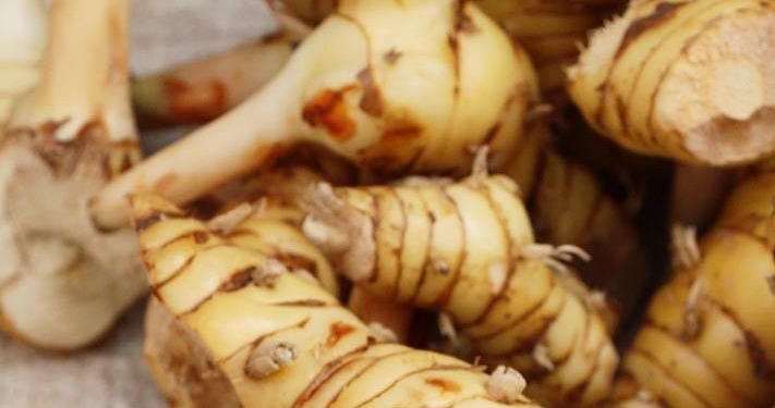 Cek di Sini! Kelompok yang Tidak Disarankan Makan Lengkuas, Perlu Hati-hati