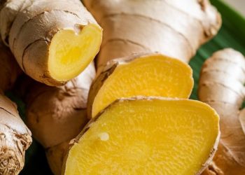 Efek Samping Temulawak di Sini! Konsumsi Berlebihan Bisa Sebabkan Risiko Kerusakan Hati