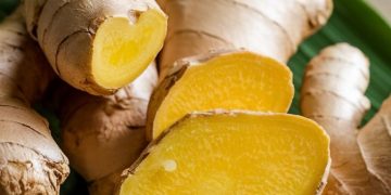 Efek Samping Temulawak di Sini! Konsumsi Berlebihan Bisa Sebabkan Risiko Kerusakan Hati
