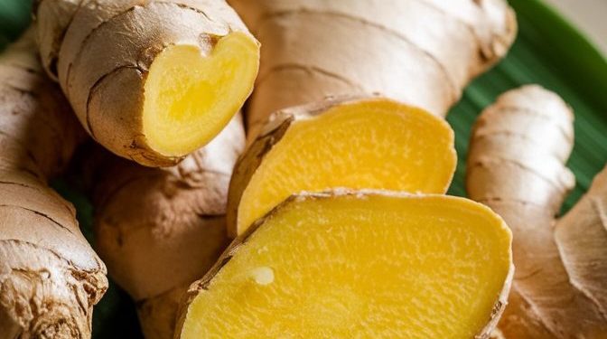 Efek Samping Temulawak di Sini! Konsumsi Berlebihan Bisa Sebabkan Risiko Kerusakan Hati