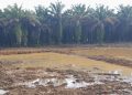 Olah Lahan Program Cetak Sawah Rakyat Rampung, Tanam Perdana Dijadwalkan Bulan Ini