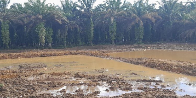Olah Lahan Program Cetak Sawah Rakyat Rampung, Tanam Perdana Dijadwalkan Bulan Ini