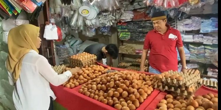 Jelang Natal dan Tahun Baru, Harga Telur Ayam Capai Rp69 Ribu Per Karpet