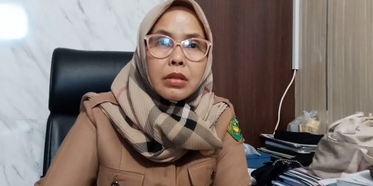 DLH Bengkulu Terjunkan 310 Petugas, Pastikan Kebersihan Wajah Kota Selama Libur Nataru