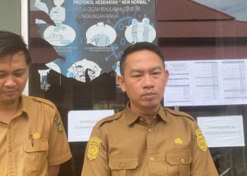 Pengusulan NIP PPPK Paruh Waktu Bengkulu Selatan Masuk Tahap Akhir, 1.187 Orang Segera Dilantik