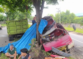 Truk Muatan Batu Bara Tabrak Pohon di Jalan Sumber Jaya, Sopir Alami Luka Berat