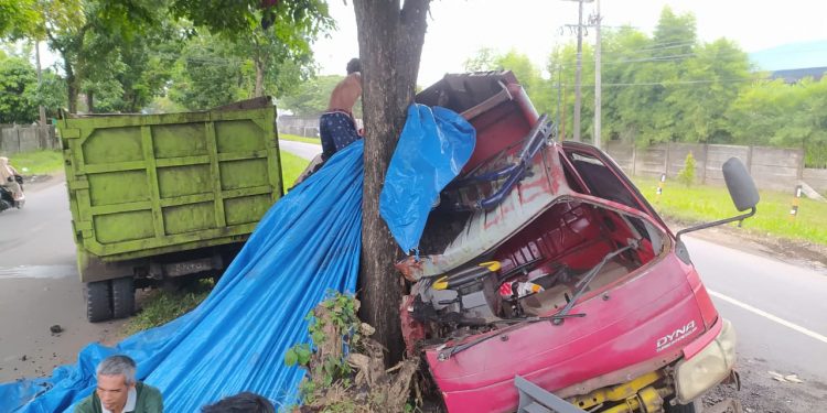 Truk Muatan Batu Bara Tabrak Pohon di Jalan Sumber Jaya, Sopir Alami Luka Berat