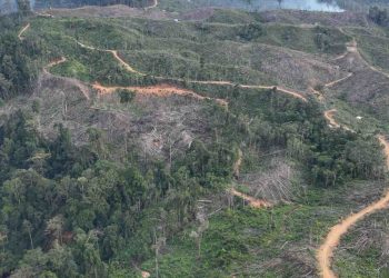 PT BAT dan PT API Diminta Tanggung Jawab Atas Kerusakan Bentang Alam Seblat
