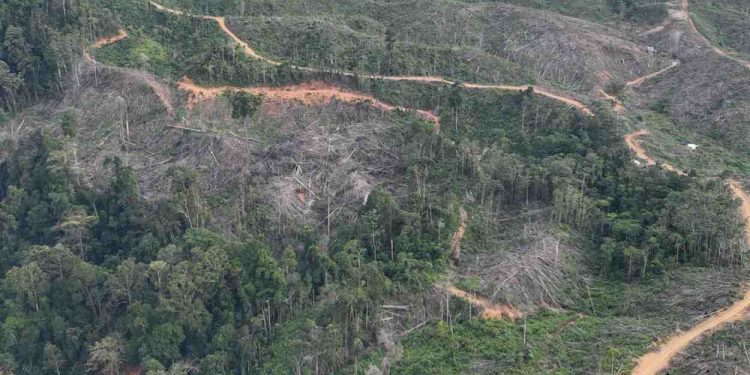 PT BAT dan PT API Diminta Tanggung Jawab Atas Kerusakan Bentang Alam Seblat