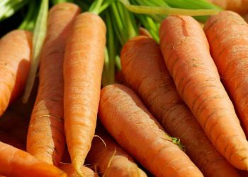 Wortel Bisa Digunakan untuk Membantu Mencegah Kram Menstruasi, Cek Manfaat Rincinya di Sini