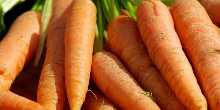 Wortel Bisa Digunakan untuk Membantu Mencegah Kram Menstruasi, Cek Manfaat Rincinya di Sini