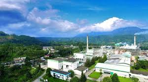 Profil Pemilik PT Toba Pulp Lestari, Benarkah Jadi Penyebab di Sumut?