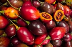 Kenali 5 Efek Samping Konsumsi Terong Belanda Berlebihan, Berbahaya untuk Kesehatan