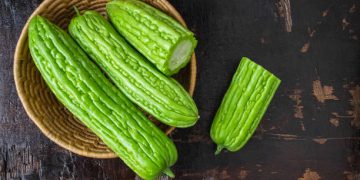 Memiliki Rasa Pahit Tapi Bagus untuk Tubuh, Ini Manfaat Konsumsi Pare untuk Kesehatan