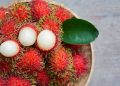 Suka Makan Rambutan? Ayo, Ketahui Ragam Manfaatnya untuk Kesehatan, CEK!