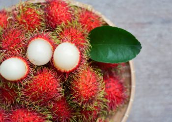 Suka Makan Rambutan? Ayo, Ketahui Ragam Manfaatnya untuk Kesehatan, CEK!