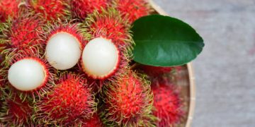 Suka Makan Rambutan? Ayo, Ketahui Ragam Manfaatnya untuk Kesehatan, CEK!