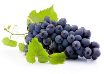 Suka Makan Anggur? Yuk, Kenali Manfaatnya untuk Kesehatan Tubuh, Salah Satunya Cakap Cegah Kanker