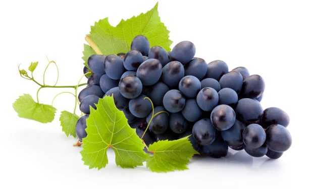 Suka Makan Anggur? Yuk, Kenali Manfaatnya untuk Kesehatan Tubuh, Salah Satunya Cakap Cegah Kanker