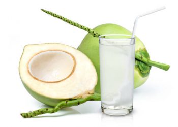 Cek Disini Ragam Manfaat Air Kelapa Muda untuk Kesehatan, Jadi Minuman Favorit Banyak Orang