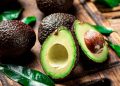 Ayo Konsumsi Biji Alpukat untuk Jaga Kesehatan, Cakap Turunkan Kolesterol hingga Tingkatkan Daya Tahan Tubuh