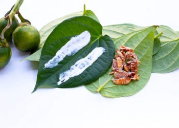 Kapur Sirih Tawarkan 3 Manfaat Utama untuk Kesehatan Tubuh, Paling Ampuh dalam Hempaskan Bau Badan