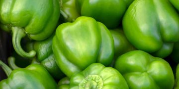 Kulit Kering Bisa Diatasi dengan Paprika Hijau, Ini Manfaatnya untuk Kecantikan Kulit