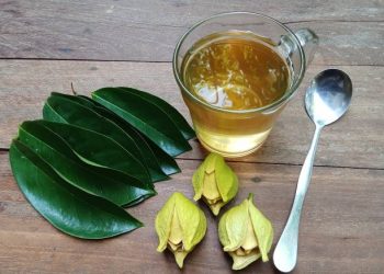 Jangan Sembarangan! Begini 5 Cara Konsumsi Temulawak Sebagai Obat Tradisional