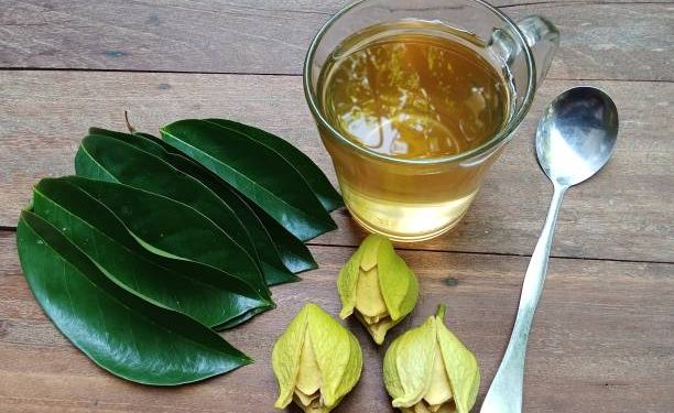 Jangan Sembarangan! Begini 5 Cara Konsumsi Temulawak Sebagai Obat Tradisional