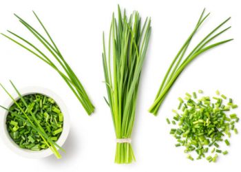 Tidak Sama, Ini 5 Perbedaan Daun Lokio dan Kucai yang Jarang Diketahui