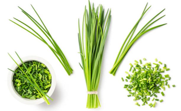 Tidak Sama, Ini 5 Perbedaan Daun Lokio dan Kucai yang Jarang Diketahui