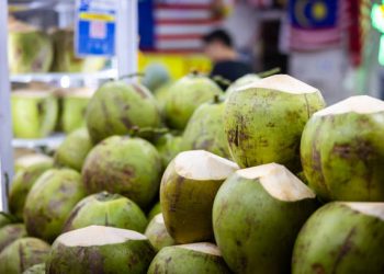 Waspada Berbahaya! Ketahui Sederet Efek Samping Konsumsi Kelapa Muda Berlebihan