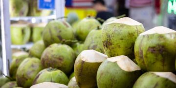 Waspada Berbahaya! Ketahui Sederet Efek Samping Konsumsi Kelapa Muda Berlebihan